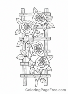 Rose coloring page - Rose on trellis