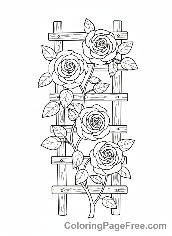 Rose coloring page - Rose on trellis