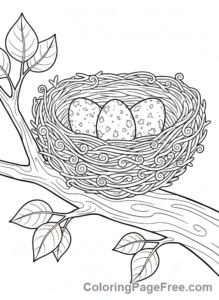 Spring coloring page - Bird nest eggs
