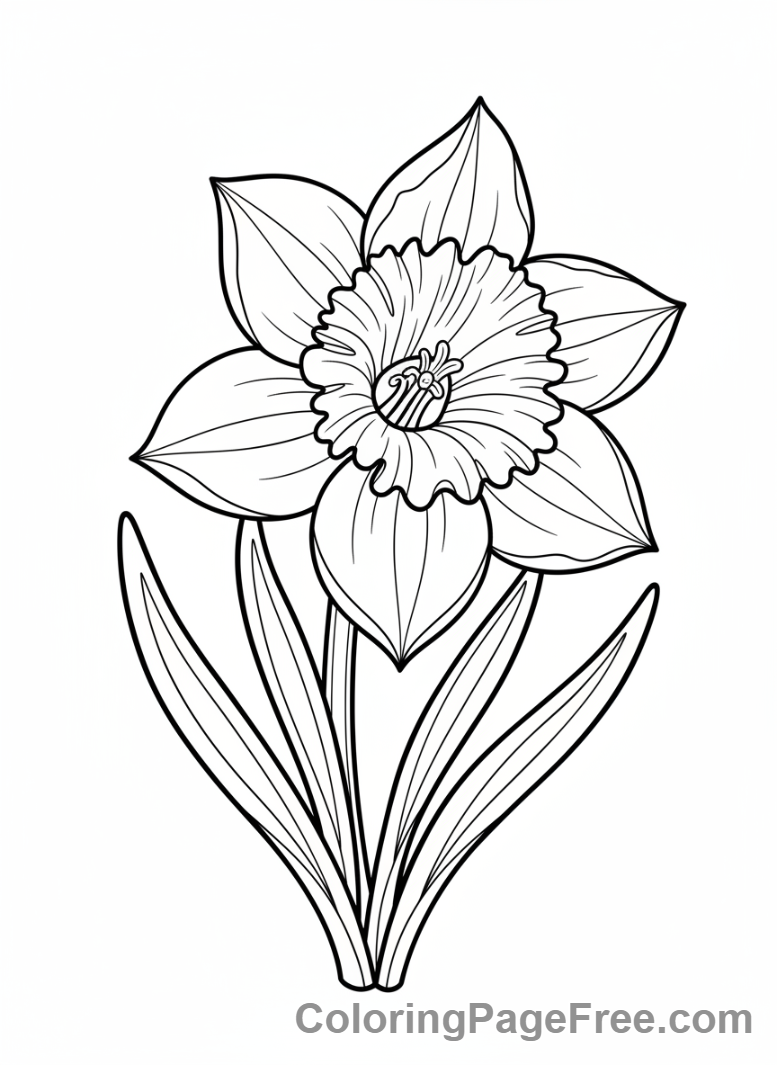 Spring coloring page - Flower close-up bloom