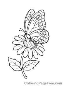 Spring Flowers coloring page - Butterfly on daisy