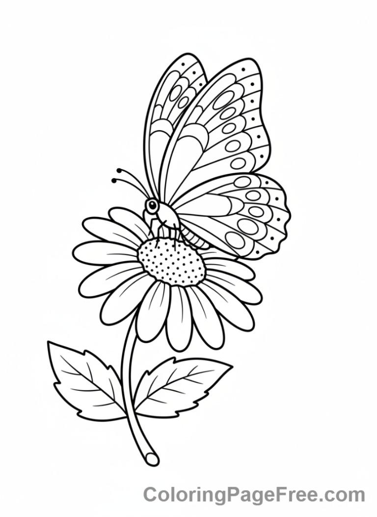 Butterfly on Daisy Coloring Page
