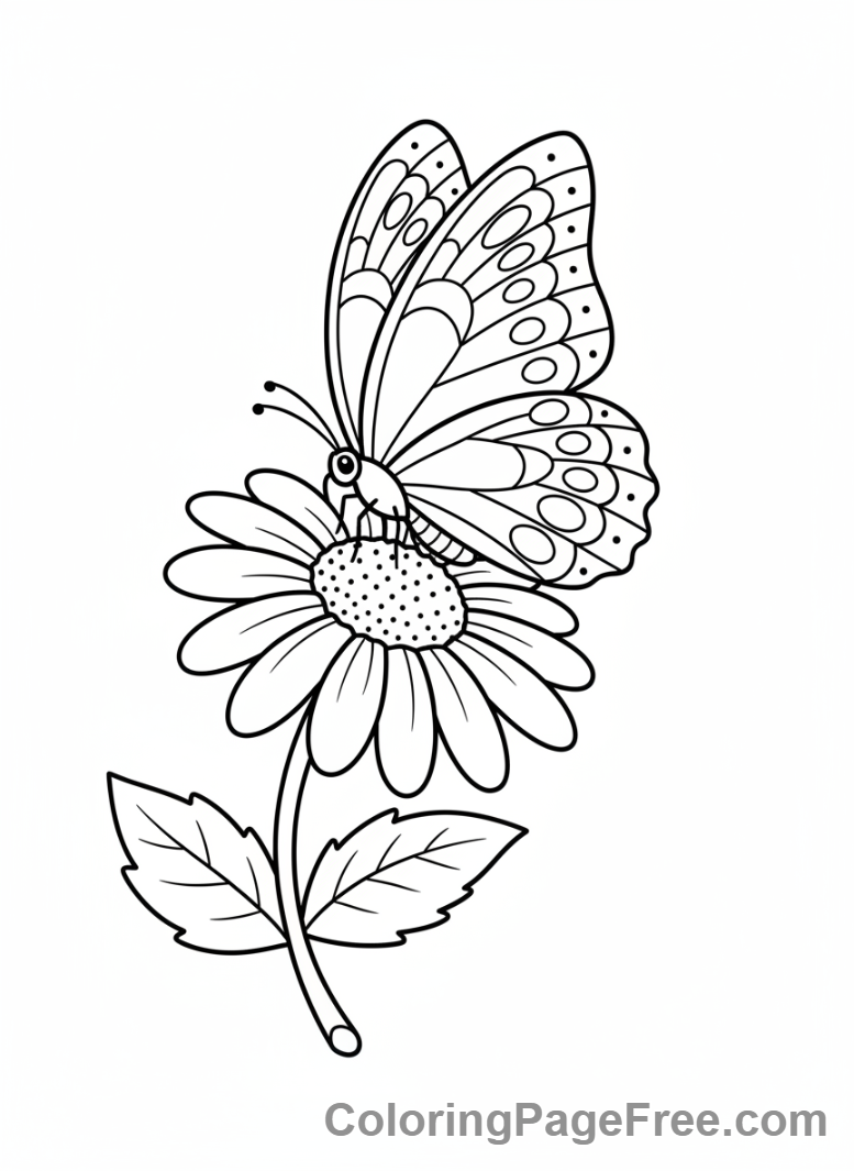 Spring Flowers coloring page - Butterfly on daisy