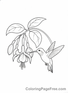 Spring Flowers coloring page - Hummingbird flower