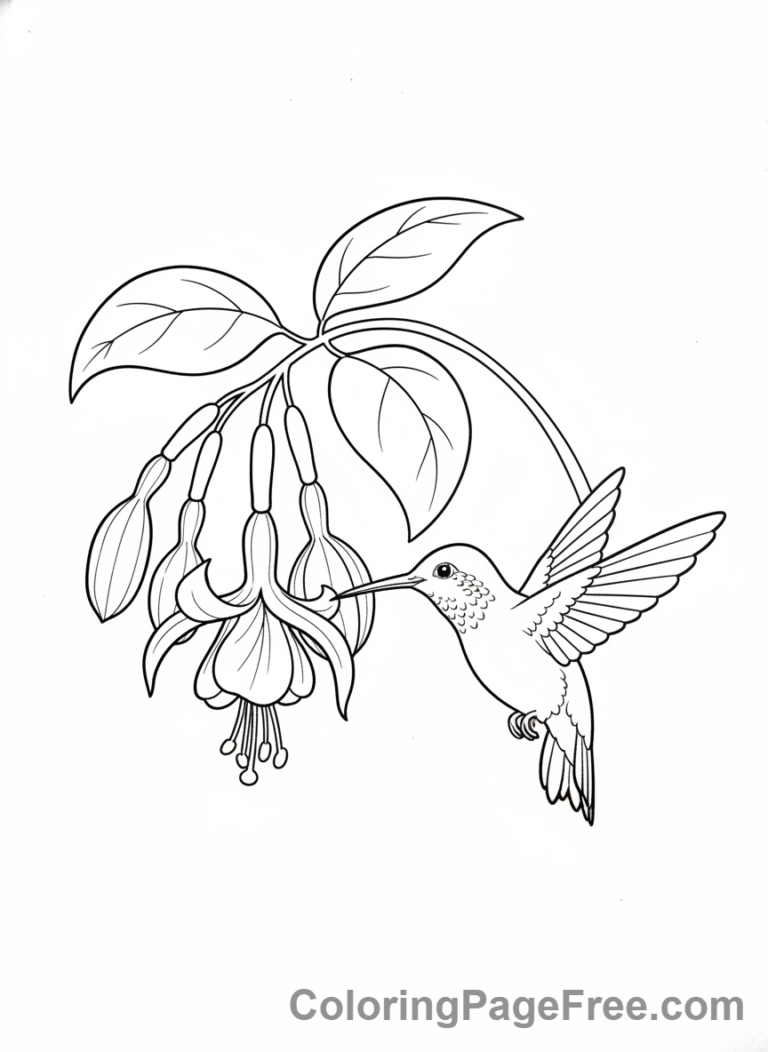 Coloring Page Spring Flowers Hummingbird Flower