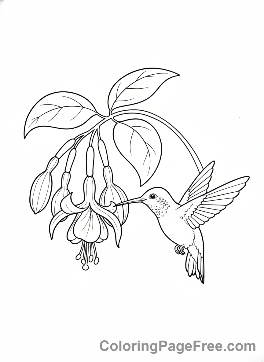 Spring Flowers coloring page - Hummingbird flower