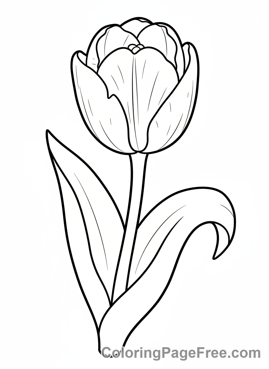 Spring Flowers coloring page - Tulip close-up