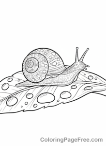 Spring coloring page - Snail leaf dew