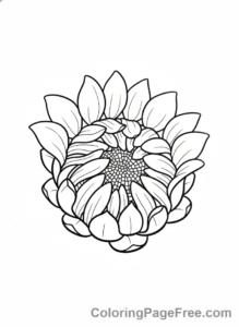 Sunflower coloring page - Sunflower bud opening