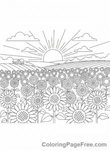 Sunflower coloring page - Sunflower field sunrise