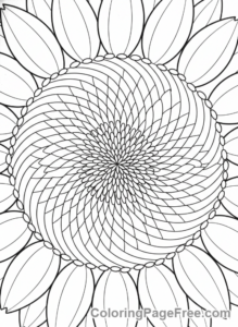 Sunflower coloring page - Sunflower head seeds