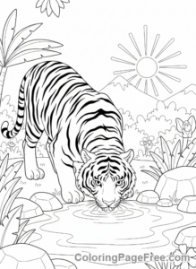 Tiger coloring page - Tiger drinking water