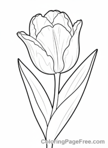 Tulip coloring page - Single tulip close-up
