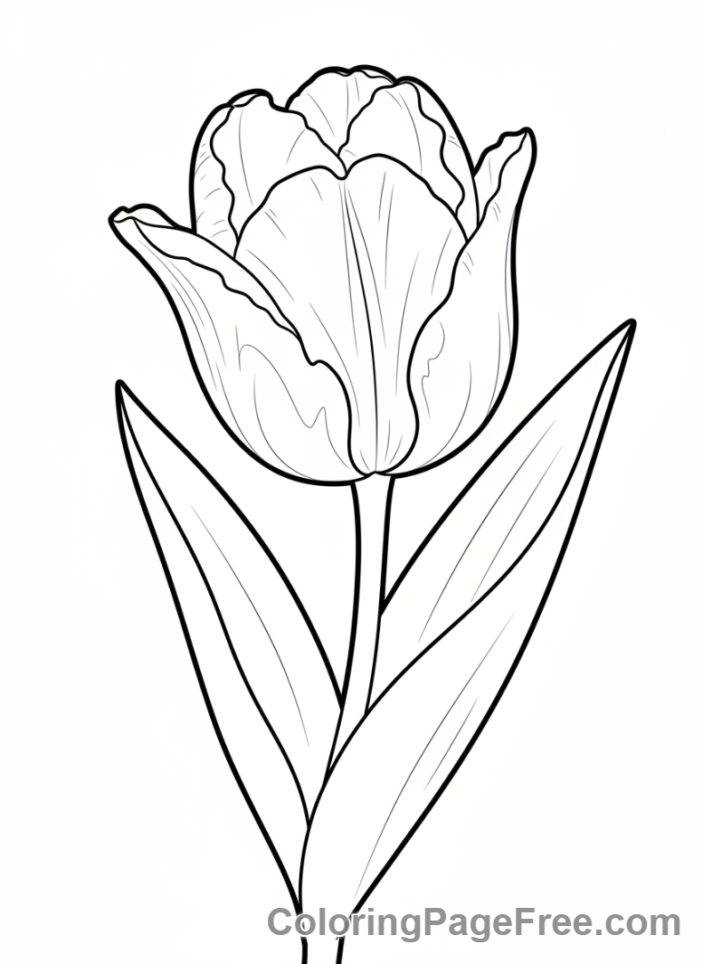 Tulip coloring page - Single tulip close-up