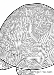Turtle coloring page - Turtle shell pattern