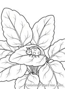 Vegetables coloring page - Spinach field ladybug