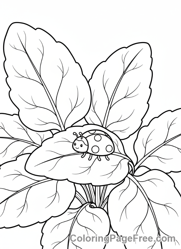 Vegetables coloring page - Spinach field ladybug