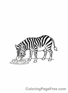 Zebra coloring page - Zebra drinking water